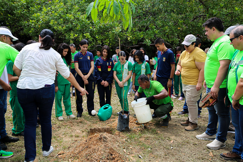 Prefeitura de Manaus celebra Dia da Árvore com indicadores históricos e programação no Parque do Mindu