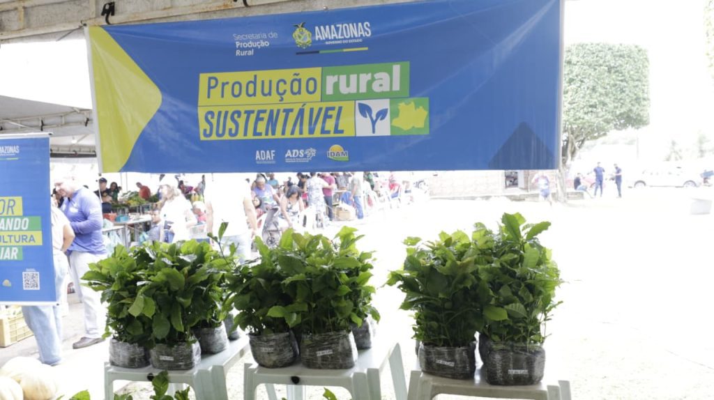 Sepror fomenta cultura do café em Presidente Figueiredo com entrega de 750 mudas para produtores