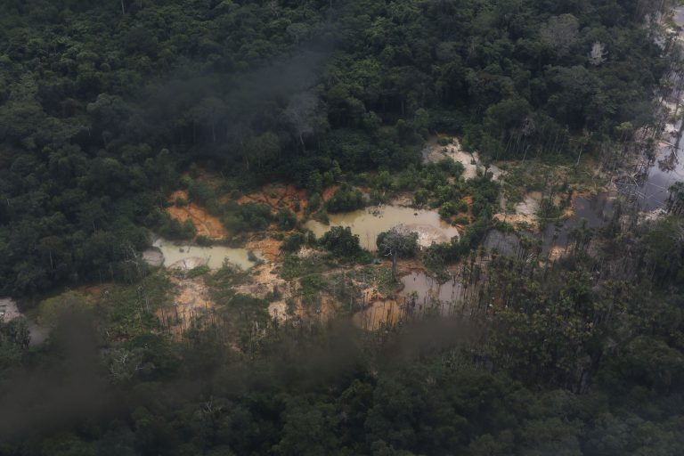 Comissão da Câmara discute combate ao garimpo ilegal e denúncias de abusos em Roraima