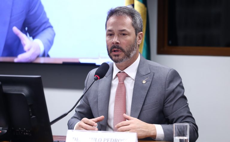 Comissão aprova medidas de proteção à abelha sem ferrão