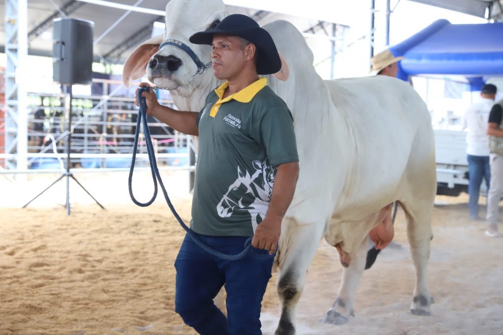 Expoagro 2025: primeiro Leilão Agropecuário arrecada R$ 337,9 mil e beneficia o Hospital de Amor