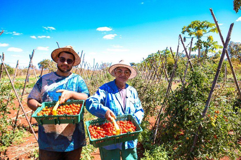 Pronaf e Plano Safra para agricultura familiar são transformados em lei