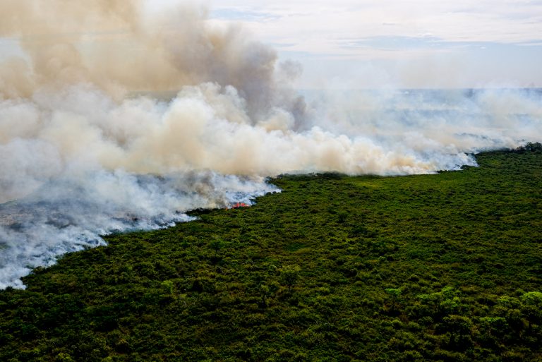 Nova lei estabelece princípios e diretrizes para a proteção e uso sustentável do Pantanal