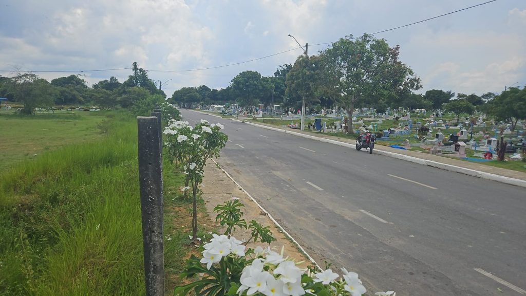 Manaus amplia plano de arborização de cemitérios com plantio de pau-pretinho em campos-santos