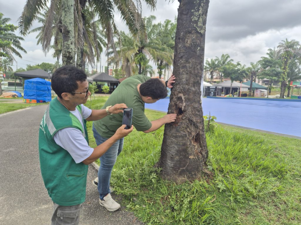 PMM realiza manutenção da arborização no CSU do Parque 10
