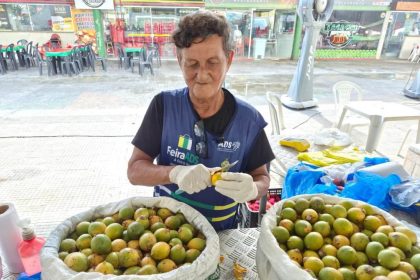 Feira de Produtos Regionais será realizada em 10 pontos de Manaus com hortifrúti e artesanato