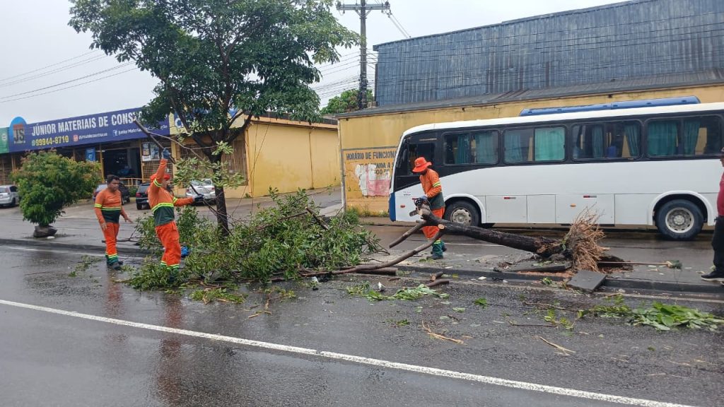 PMM recolhe 12 toneladas de lixo durante chuva deste sábado, 4/4 PMM recolhe 12 toneladas de lixo durante chuva deste sábado, 4/4