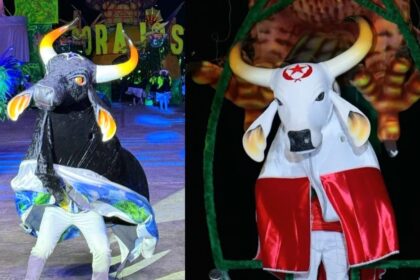 Wilker Barreto apresenta Projeto de Lei para incluir Festival de Boi-Bumbá de Fonte Boa no calendário oficial do Amazonas