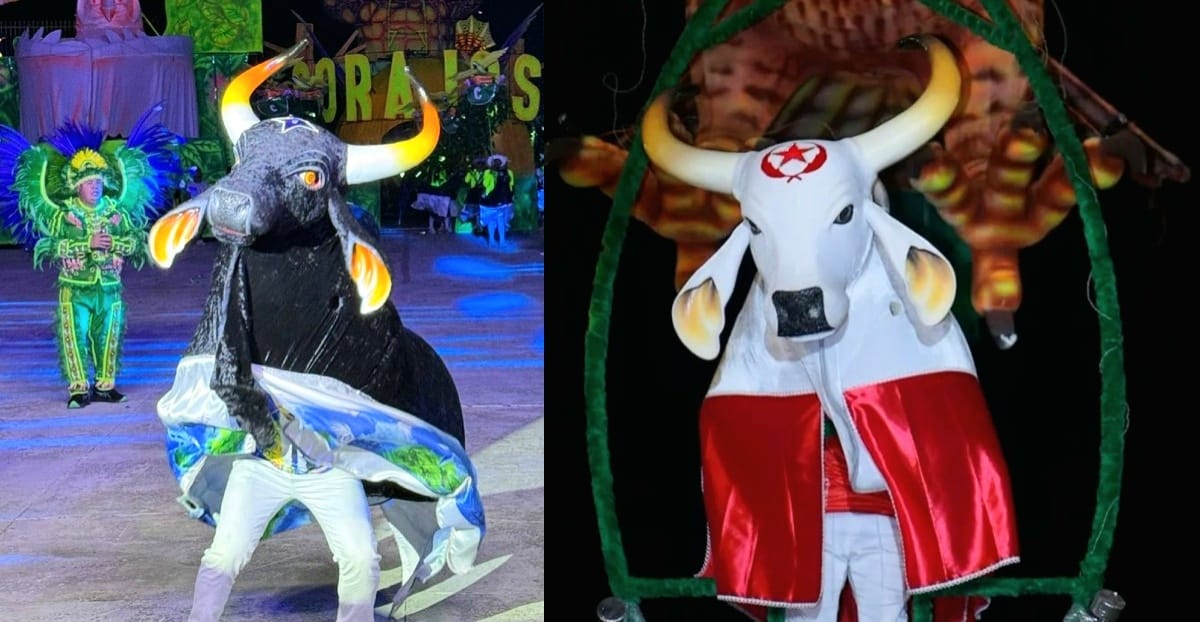 Wilker Barreto apresenta Projeto de Lei para incluir Festival de Boi-Bumbá de Fonte Boa no calendário oficial do Amazonas