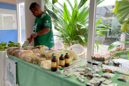 Assembleia Legislativa realiza Bazar ‘Menos é Mais’ e incentiva a economia criativa