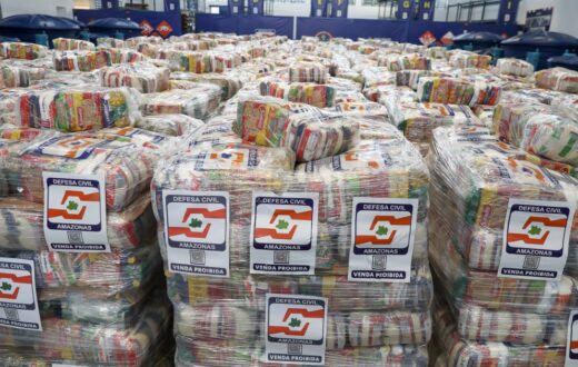 Fiscalização contra uso ilegal do fogo reúne três operações no Amazonas